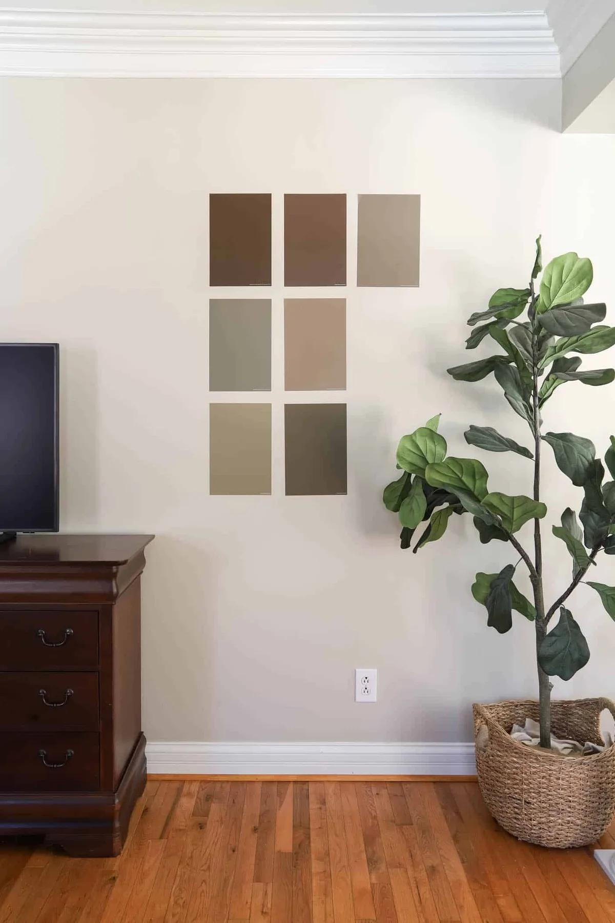 paint sample testing