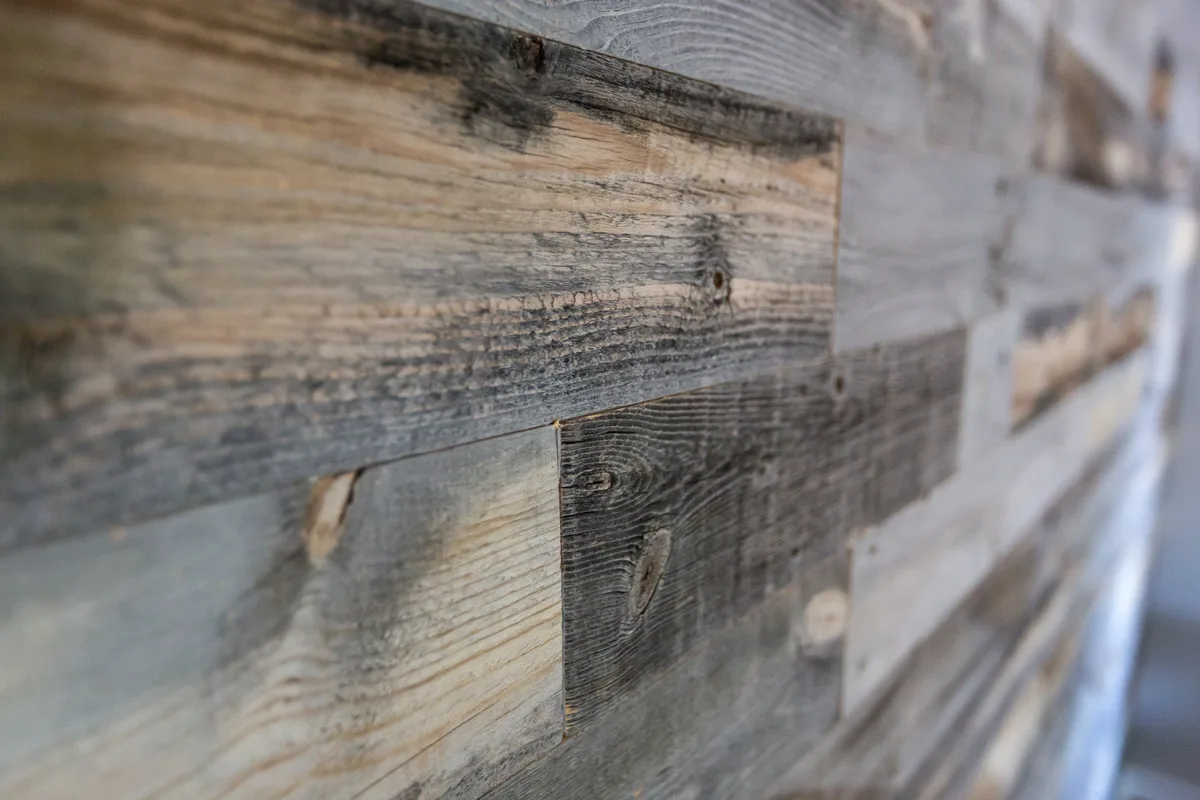 texture and material palette