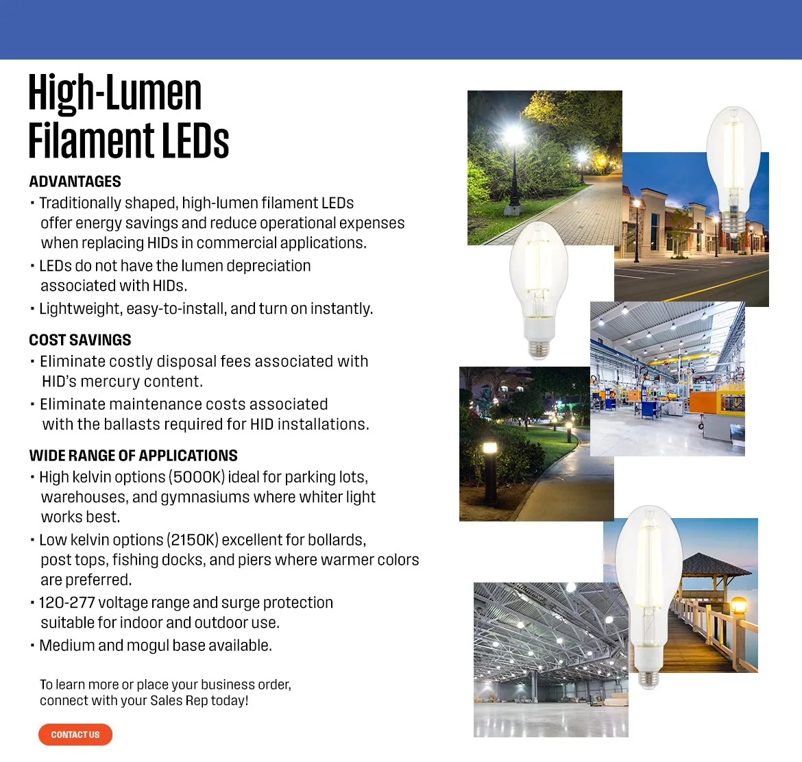 high-lumen LED bulb