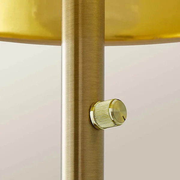 integrated rotary dimmer switch